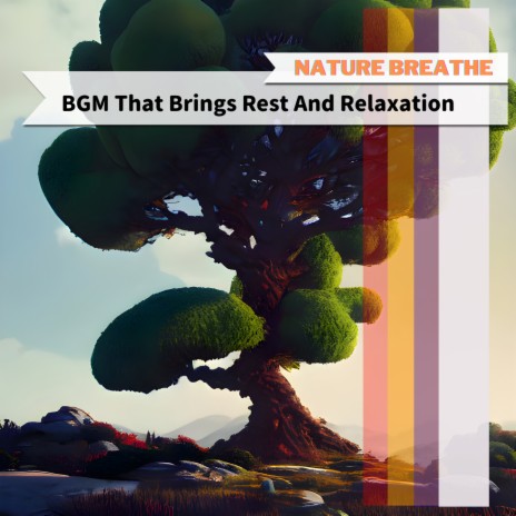 Relaxation at Your Feet | Boomplay Music
