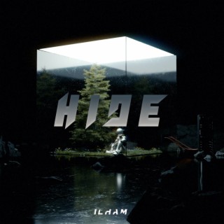 Hide