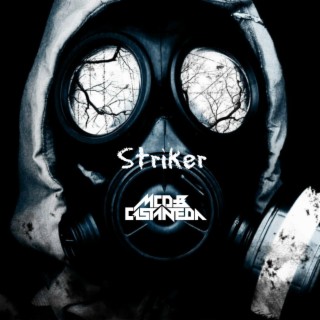 Striker