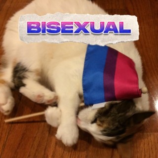 Bisexual