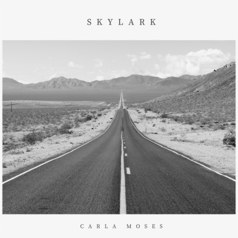 Skylark | Boomplay Music