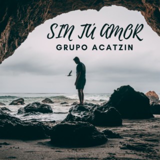 Sin tú amor