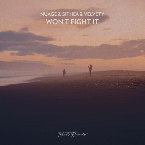 Won't Fight It ft. SITHEA & Velvety