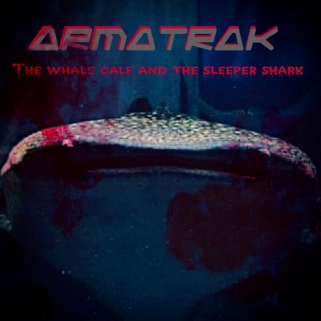 The Whale calf and the sleeper shark | Boomplay Music