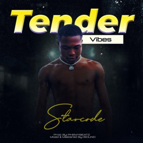 Tender Vibes | Boomplay Music