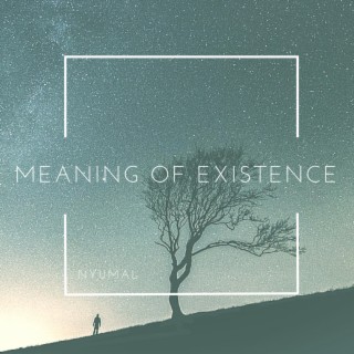 Meaning Of Existence