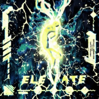 Elevate