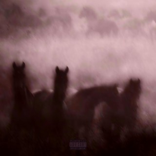Dark Horse EP: The No Auto Piece
