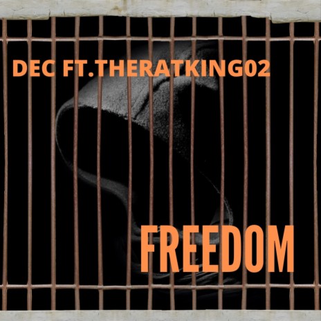 Freedom (Radio Edit) ft. TheRatKing02
