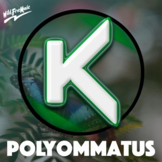 Polyommatus