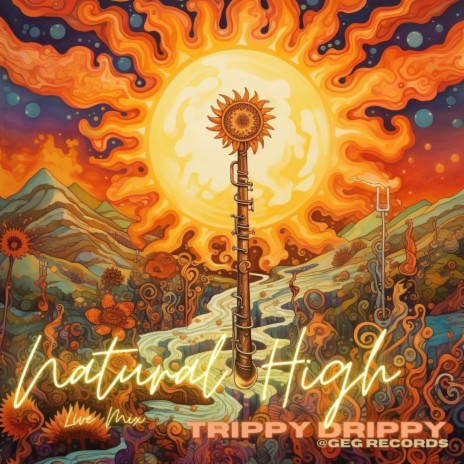 Natural High (Live Mix) | Boomplay Music