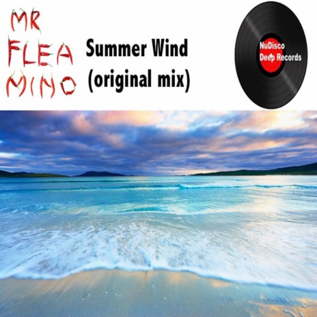 Summer Wind (original mix) | Boomplay Music