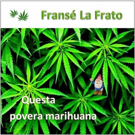 Questa povera marihuana