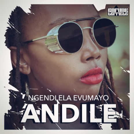 Ngendlela Evumayo ft. Les Jeux Sont Funk