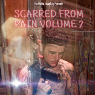 Scarred From Pain Volume 2