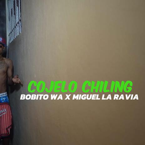 Bobito WA X Miguel La Rabia Cojelo Chilin | Boomplay Music