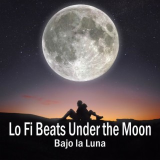 lo fi beats under the moon