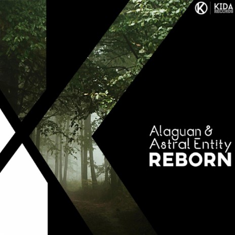 Reborn (Reborn) ft. Astral Entity | Boomplay Music