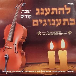 L'hisaneig Bisaanugim: Shabbos Kodesh