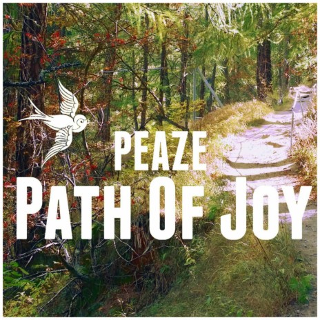Path Of Joy | Boomplay Music
