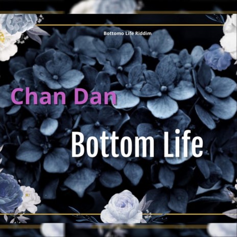 Bottom Life | Boomplay Music