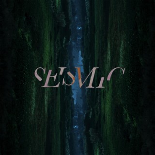 Seismic