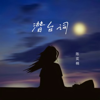 潜台词 lyrics | Boomplay Music