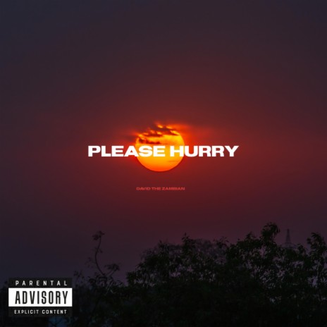 Please Hurry | Boomplay Music