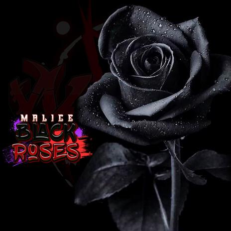 Black Roses | Boomplay Music