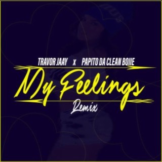 My Feelings (Remix)