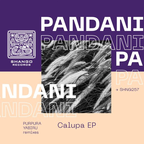 Pallida | Boomplay Music