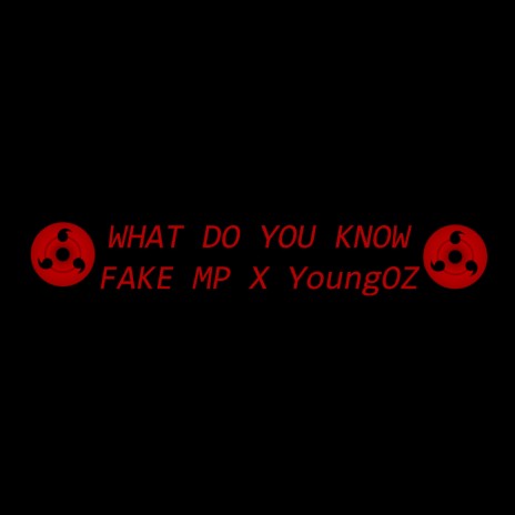 WHAT DO YOU KNOW ft. YoungOZ | Boomplay Music