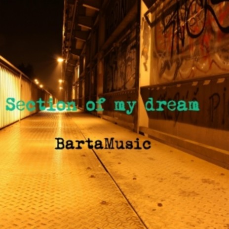 Section of My Dream (feat. BartaMusic) (Radio Edit) | Boomplay Music