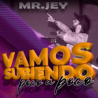 Subiendo poco a poco lyrics | Boomplay Music