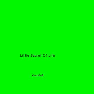 Little Secret Of Life