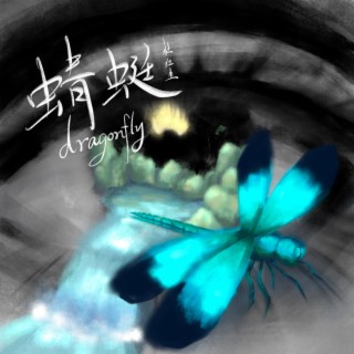 蜻蜓 lyrics | Boomplay Music