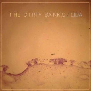 The Dirty Banks