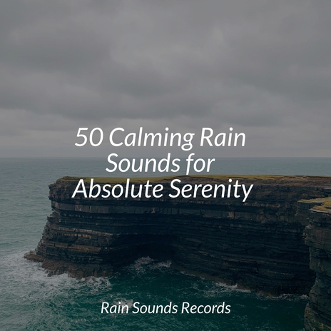 Serenity's Shoreline Symphony ft. Study Music & Sounds & Bird Sounds | Boomplay Music