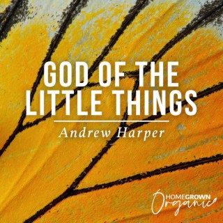 God Of The Little Things