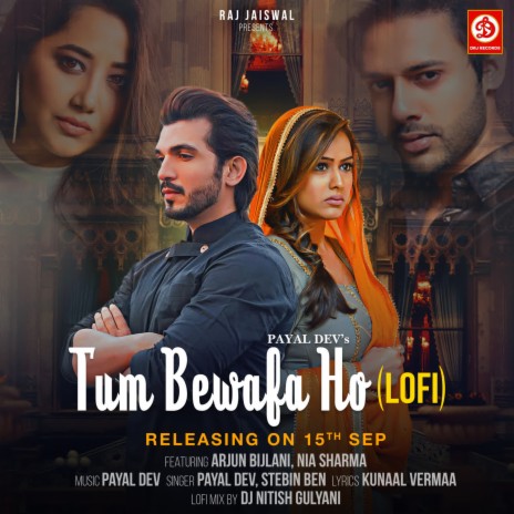 Tum Bewafa Ho (Lofi) ft. Payal Dev & DJ Nitish Gulyani | Boomplay Music