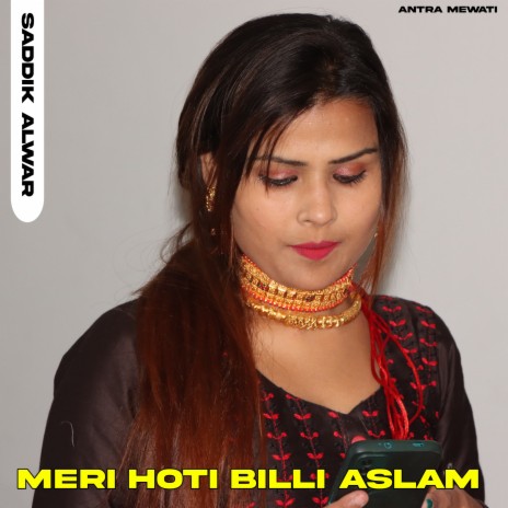 Meri Hoti Billi Aslam (Aslam Singer Mewati) | Boomplay Music