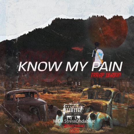 Know my Pain | Boomplay Music