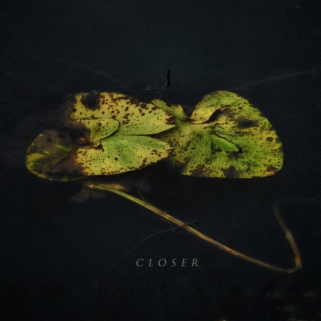 Closer | Boomplay Music