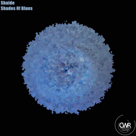 Shades of Blues (Original Mix)