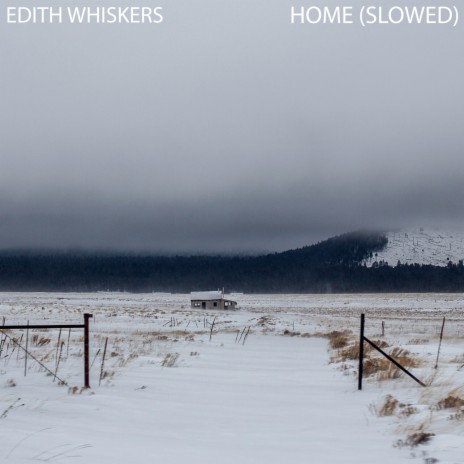 Edith Whiskers - Home (Lyrics)  oh, home, let me come home 