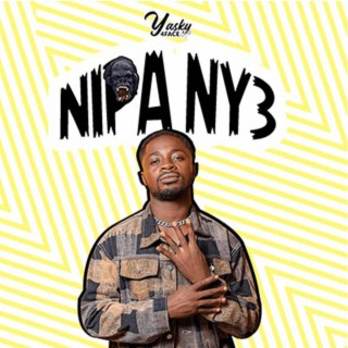 Nipa Ny3