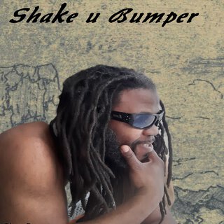 Shake U Bumper