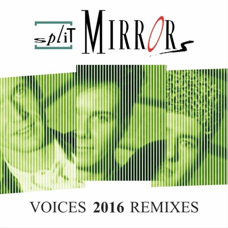 Voices (Flex & T Club Mix)