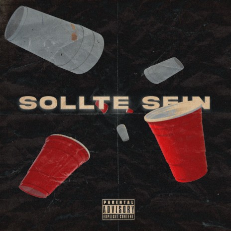 Sollte sein ft. TRACE | Boomplay Music