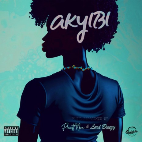 Akyibi ft. Pheetman | Boomplay Music